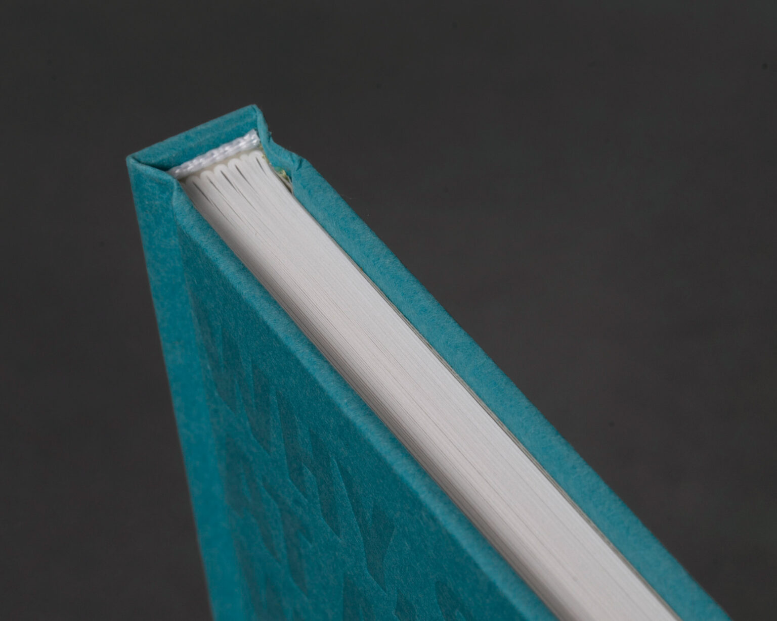 All That Life Can Afford – Bluecoat Press