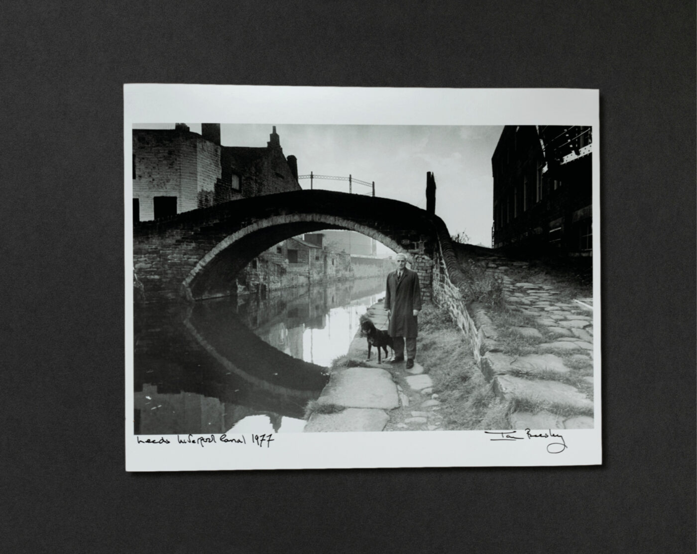 Life Prints - Image 2