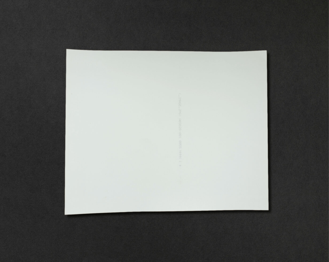 Life Prints - Image 4
